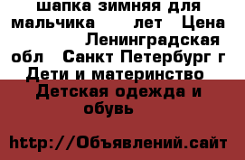 шапка зимняя для мальчика 9-10 лет › Цена ­ 350-00 - Ленинградская обл., Санкт-Петербург г. Дети и материнство » Детская одежда и обувь   